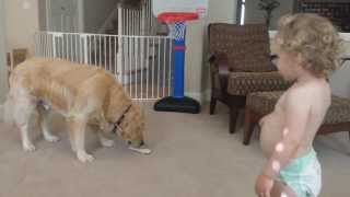 Toddler Shares Chex w/ Golden Retriever by TuBob Shakur 7,303 views 10 years ago 2 minutes, 49 seconds