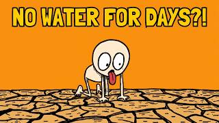 How Did Ancient Humans Find Drinkable Water?