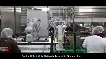 Double Robot with 96 Molds Automatic Oneshot Line