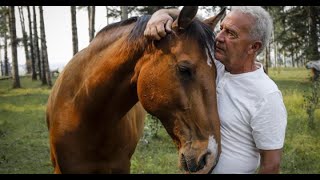 Two high-value horses being trained by Ian Tipton and his partner, Lisa Blanchart, died July 2, when