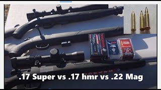 .17 hmr vs .22 wmr vs .17 wsm WHY?