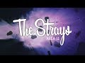 Area 11 - The Strays (Lyrics) [All the Lights in the Sky]