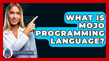 What Is Mojo Programming Language? - Next LVL Programming