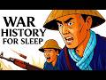 Vietnam War from the North Vietnamese Perspective | War History For Sleep