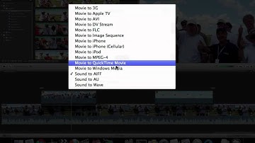 iMovie 11 Tutorial - Exporting Mono audio