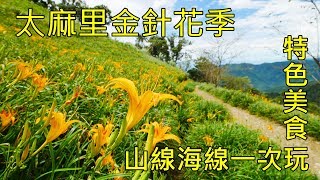 2019太麻里金針花季多良車站+華源海灣+金針花料理Taitung ...