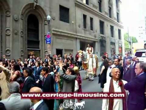 Indian Baraat Horse - Indian Wedding Horse 4c -- Carriage LimBoutonnieresine Service : Horse Drawn Carriages