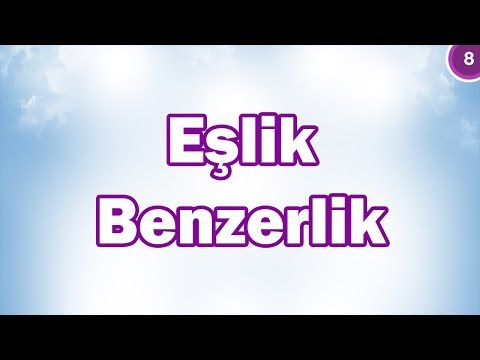 Eşlik-Benzerlik 8. Sınıf Matematik | CANLI