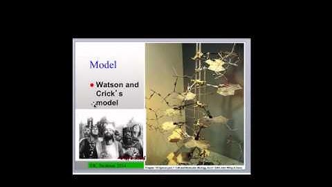 MB_W14 Lecture 6 Nucleic Acids 1