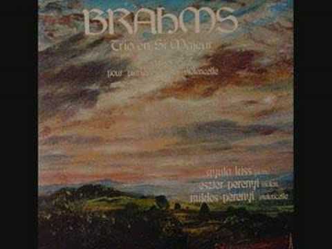 Gyula Kiss,Eszter Perényi,Miklos Perényi - Brahms Trio op.8