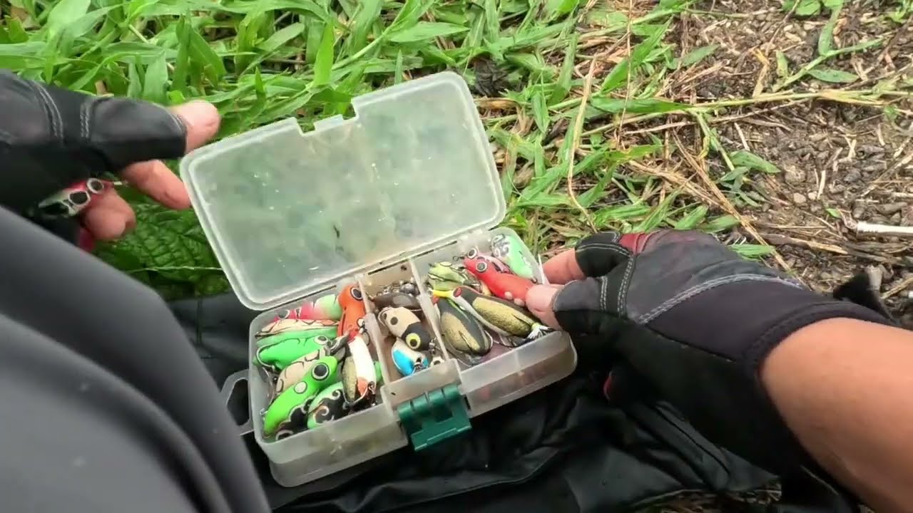 Mancing gabus di spot bekas tambak gacore poll ‼️