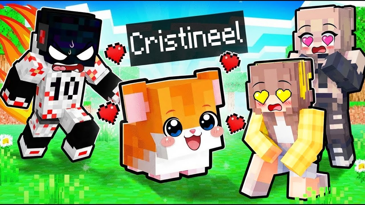 SUNT BEBE HAMSTER CA SA DAU RIZZ LA FETE?!