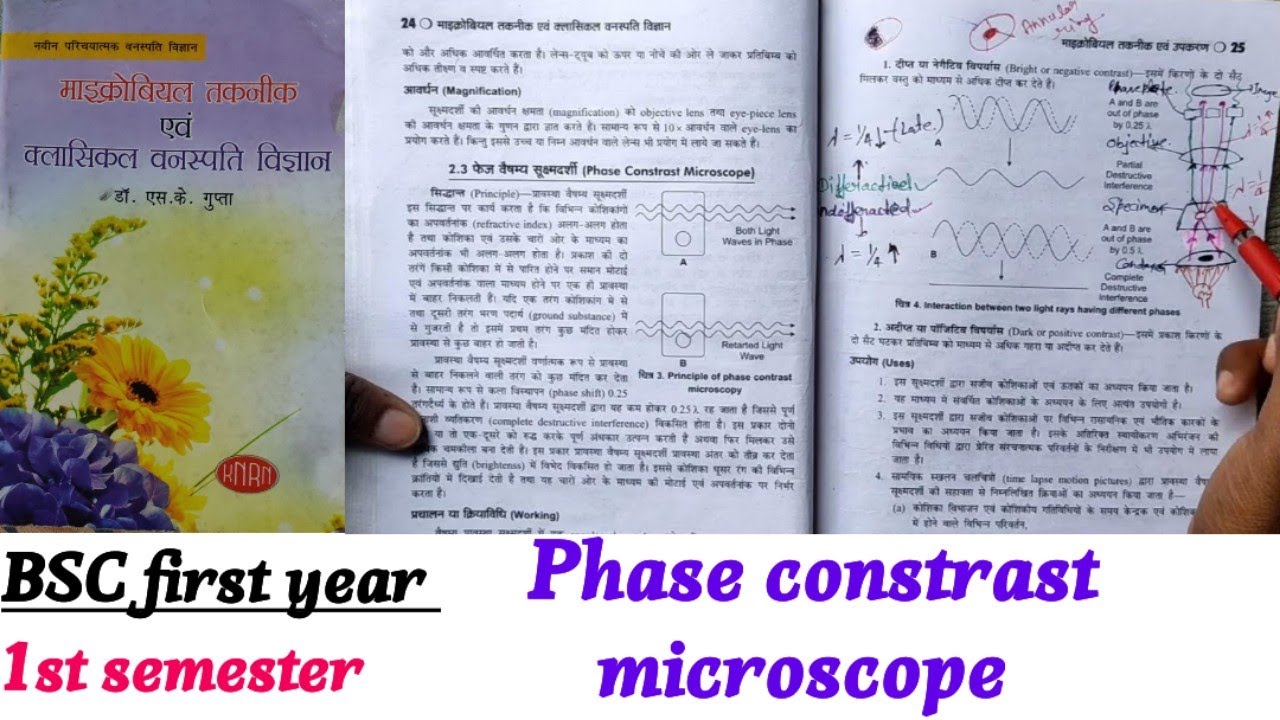Phase constrast microscope bsc 1st year 1st semester botany