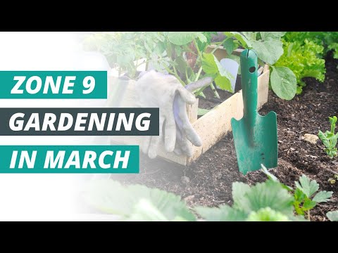 Video: Attività di giardinaggio per Washington: cosa fare per il tuo giardino a marzo