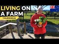 Living And Working On A Farm In New Zealand First Impression Tauranga 🇳🇿