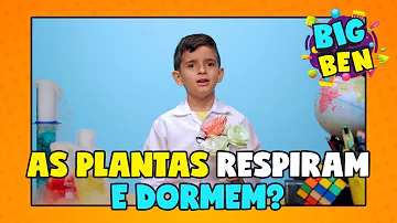 Qual é a respiração mais comum nas plantas?
