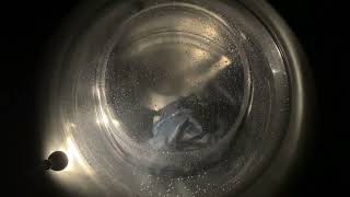 Maytag MHW8630HC4 Front Load Washer - Heavy Duty Cycle (Washing Jeans)