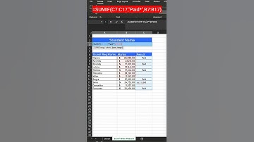 How To Use SUMIF Function With Wildcard 😍😎🥰 #excel tricks #excelwithsonal