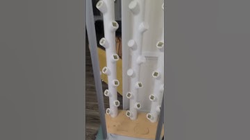 setting my new GARDYN 2.0