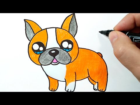 Видео: Как се рисуват мопсове