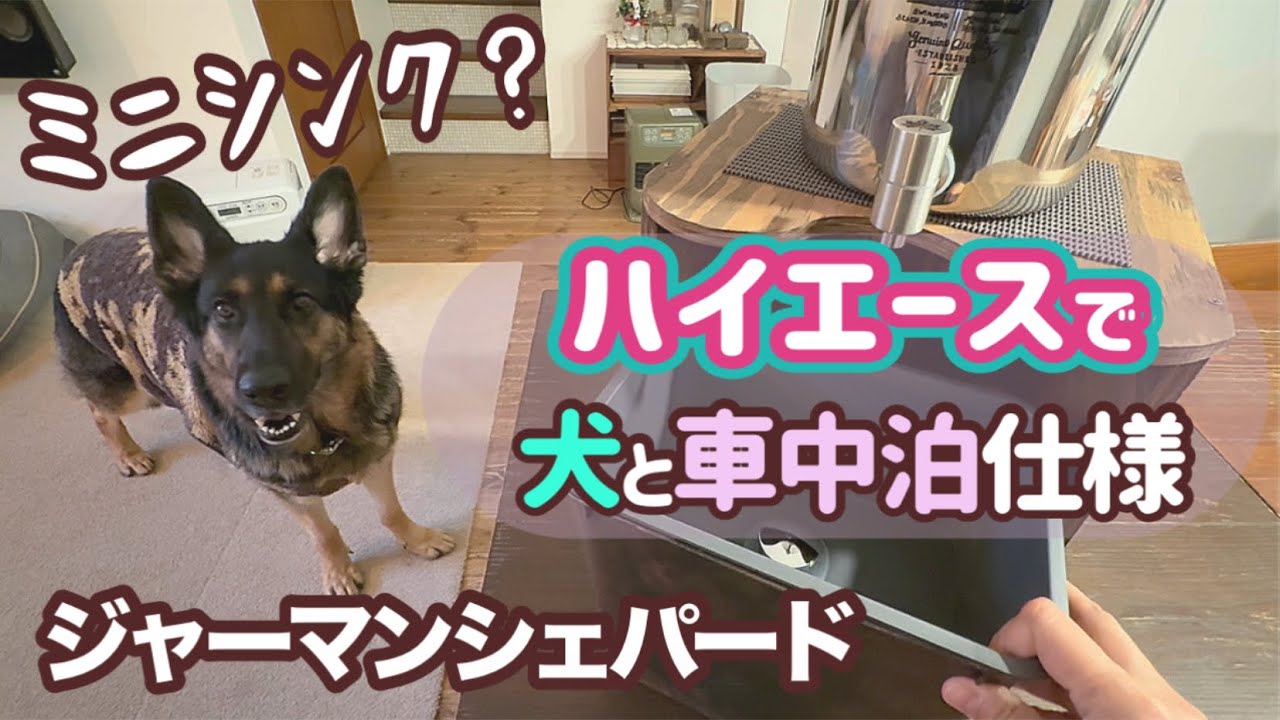 犬と車中泊仕様😀簡単ミニシンクDIYハイエースを快適に❣️【ジャーマンシェパード】