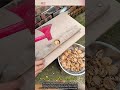 The Smartest Way to Crack Walnuts Ever Invented! 😱🥜