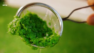 Download Lagu Eten we binnenkort allemaal waterlinzen? MP3