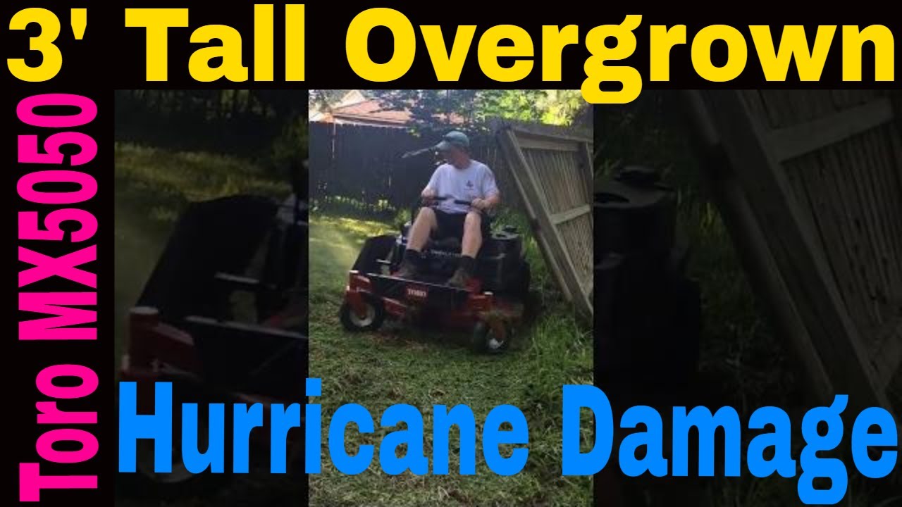 top notch lawn care melbourne florida Post Had Harvey - Clean Up Mowing