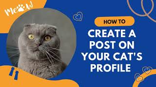 Cat Home User-Guide (How to Create a Post on Your Cat's Profile) screenshot 4
