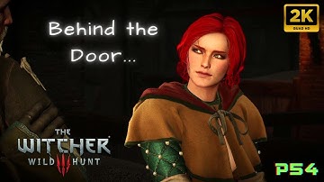 THE WITCHER 3: Wild Hunt - Count Reuven