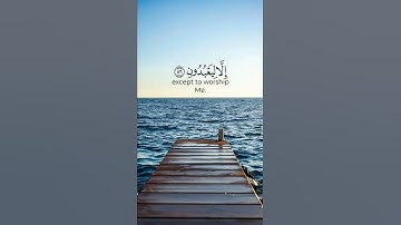 تلاوة عطرة!! #قران_كريم #حالات_واتس_دينيه #إذاعة_القرآن_الكريم #الشيخ_فارس_عباد #تلاوة_خاشعة