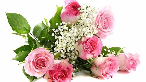 How To - Choose Flowers For Your Wedding