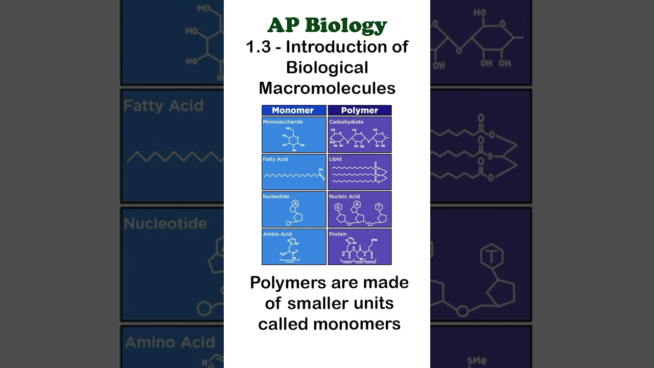 Carbohydrates: Structure, Function, and Types, image size:1280x720