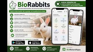 BioRabbits Android e iOS Nuevas Actualizaciones screenshot 4