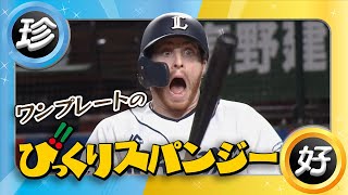 ワンプレートの【びっくりスパンジー】