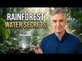 Rainforest Artesian Water — Why Volcanic Water Doesn't Always Mean High Minerals