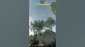 CS2: NICE Smoke Ancient #cs2 #cs2shorts #cs2clips #shorts