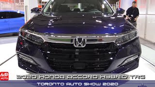 For those who are impassioned by cars