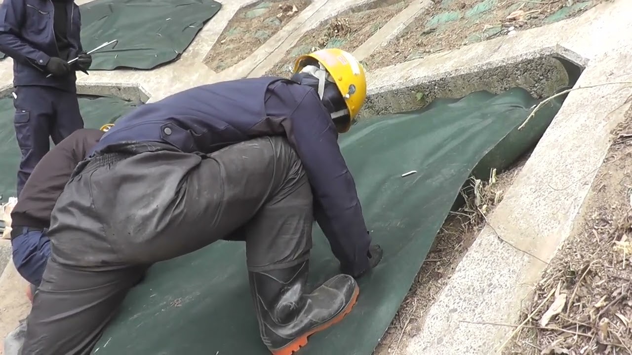 竹の伐採と防竹シートの施工