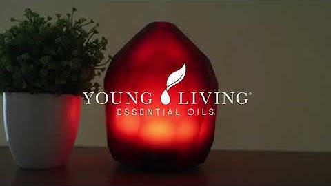 Diamond Diffuser Young Living Indonesia