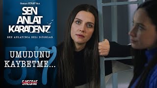 Download Güçlü Kadınlar… - Sen Anlat Karadeniz 37.bölüm Video MP3 Güçlü Kadınlar… - Sen Anlat Karadeniz 37.bölüm