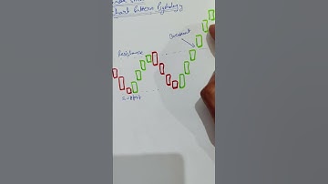 How to Trade Using the Bullish Rectangle Chart Pattern | Bullish Rectangle Trading Strategy