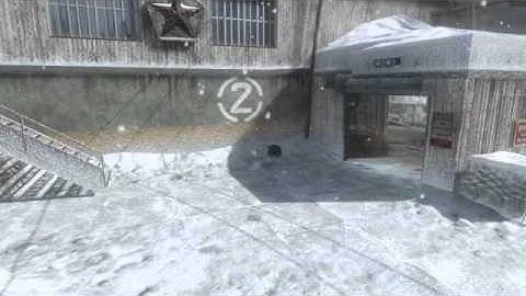 Black Ops Random Grenade Double Kill