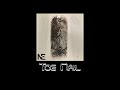 Toe Nail - Negatory Effect