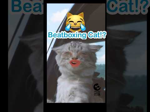 😹Beatboxing Cat⁉️