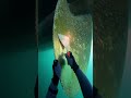 Giant Ship Propeller Cleaning 😌⚓ So Satisfying