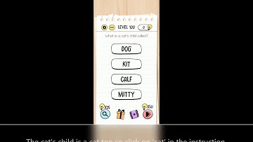 Brain Test Level 100 what is a cats child called