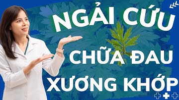 Chữa Đau Nhức Xương Khớp Bằng Lá Ngải Cứu | Dr Thùy Dung