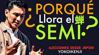 ¿Por qué llora el SEMI? 4 lecciones desde Japón | YOKOI KENJI