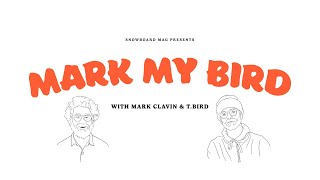 Blake Paul Mark My Bird Episode 4